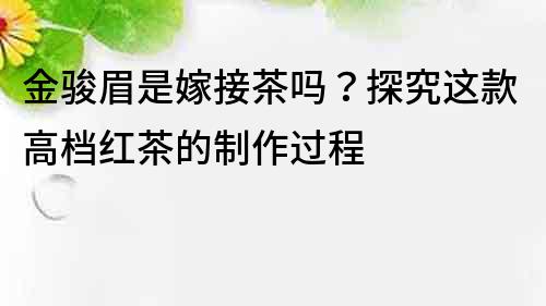 金駿眉是嫁接茶嗎？探究這款高檔紅茶的制作過程