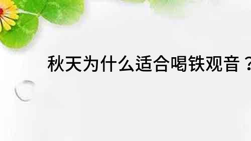 秋天為什么適合喝鐵觀音？