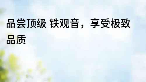品嘗頂級 鐵觀音，享受極致品質
