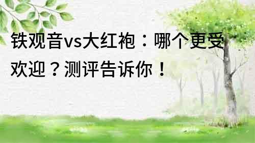 鐵觀音vs大紅袍：哪個更受歡迎？測評告訴你！