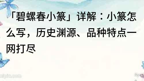 「碧螺春小篆」詳解：小篆怎么寫，歷史淵源、品種特點一網打盡