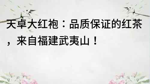 天卓大紅袍：品質(zhì)保證的紅茶，來(lái)自福建武夷山！