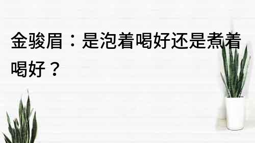 金駿眉：是泡著喝好還是煮著喝好？
