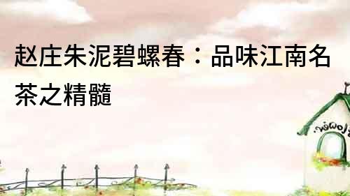 趙莊朱泥碧螺春：品味江南名茶之精髓