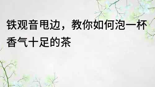 鐵觀音甩邊，教你如何泡一杯香氣十足的茶