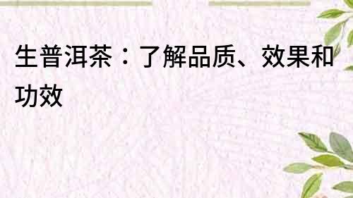 生普洱茶：了解品質、效果和功效