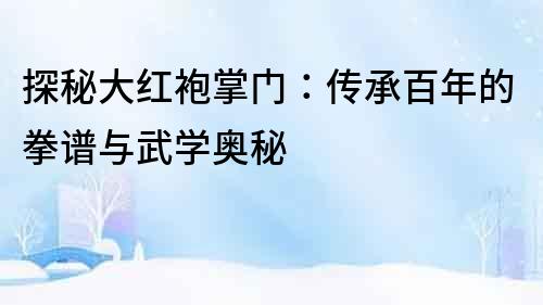 探秘大紅袍掌門：傳承百年的拳譜與武學(xué)奧秘