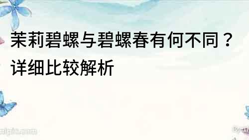茉莉碧螺與碧螺春有何不同？詳細比較解析