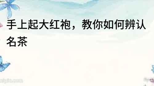 手上起大紅袍，教你如何辨認名茶