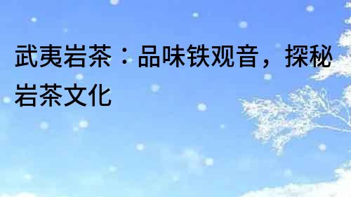 武夷巖茶：品味鐵觀音，探秘巖茶文化