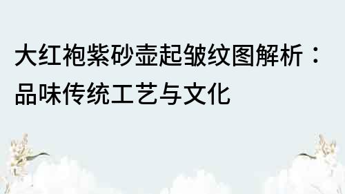 大紅袍紫砂壺起皺紋圖解析：品味傳統工藝與文化
