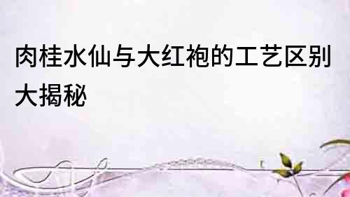 肉桂水仙與大紅袍的工藝區別大揭秘