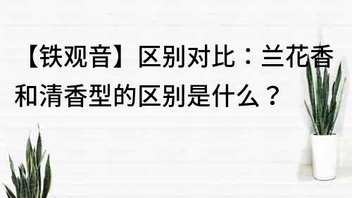 【鐵觀音】區別對比：蘭花香和清香型的區別是什么？