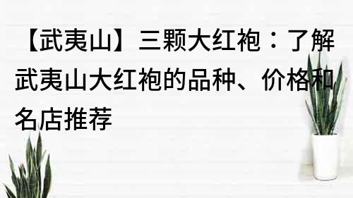 【武夷山】三顆大紅袍：了解武夷山大紅袍的品種、價(jià)格和名店推薦