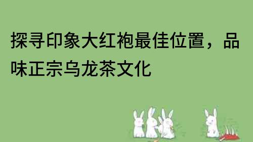 探尋印象大紅袍最佳位置，品味正宗烏龍茶文化