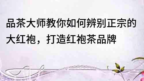 品茶大師教你如何辨別正宗的大紅袍，打造紅袍茶品牌