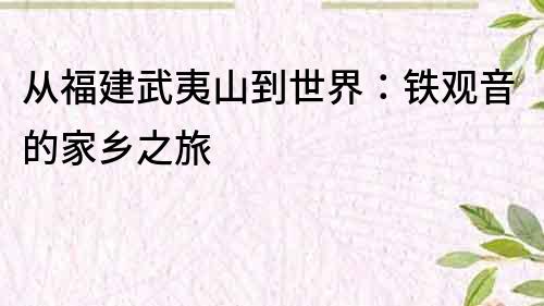 從福建武夷山到世界：鐵觀音的家鄉之旅