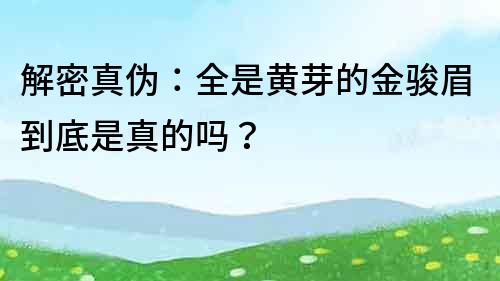 解密真偽：全是黃芽的金駿眉到底是真的嗎？
