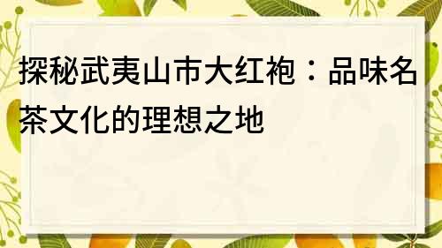 探秘武夷山市大紅袍：品味名茶文化的理想之地