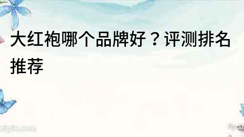 大紅袍哪個(gè)品牌好？評(píng)測(cè)排名推薦