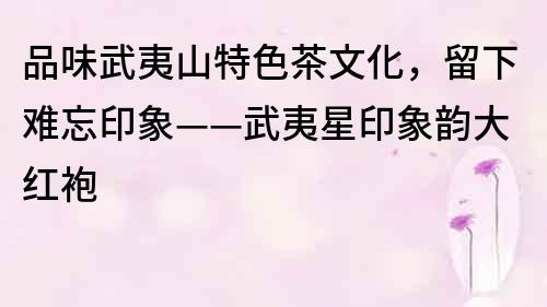 品味武夷山特色茶文化，留下難忘印象——武夷星印象韻大紅袍
