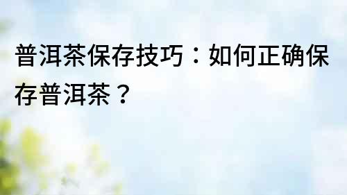普洱茶保存技巧：如何正確保存普洱茶？