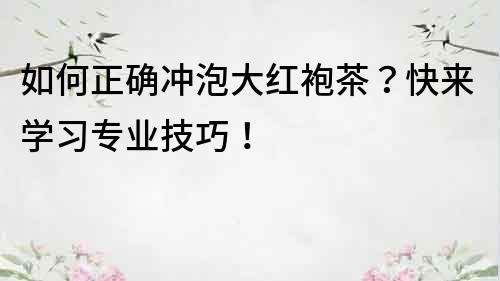 如何正確沖泡大紅袍茶？快來學習專業技巧！
