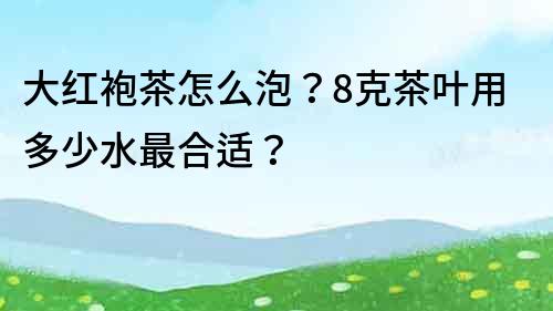 大紅袍茶怎么泡？8克茶葉用多少水最合適？