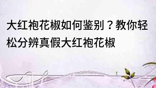 大紅袍花椒如何鑒別？教你輕松分辨真假大紅袍花椒