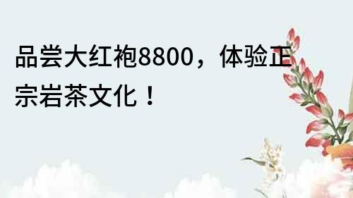 品嘗大紅袍8800，體驗正宗巖茶文化！
