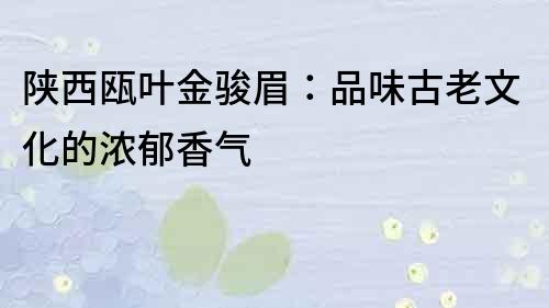 陜西甌葉金駿眉：品味古老文化的濃郁香氣