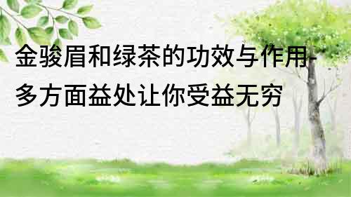 金駿眉和綠茶的功效與作用-多方面益處讓你受益無窮
