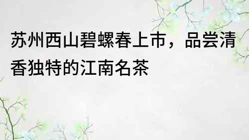 蘇州西山碧螺春上市，品嘗清香獨特的江南名茶