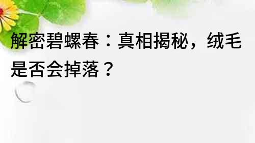 解密碧螺春：真相揭秘，絨毛是否會掉落？
