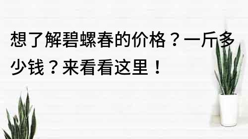 想了解碧螺春的價格？一斤多少錢？來看看這里！