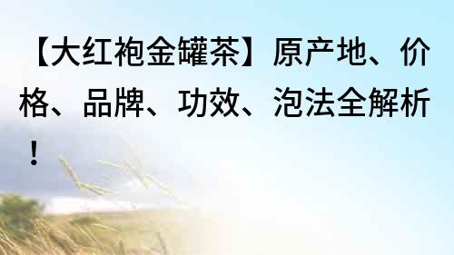 【大紅袍金罐茶】原產(chǎn)地、價格、品牌、功效、泡法全解析！