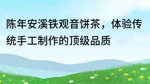 陳年安溪鐵觀音餅茶，體驗傳統手工制作的頂級品質