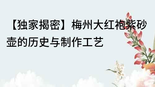 【獨家揭密】梅州大紅袍紫砂壺的歷史與制作工藝