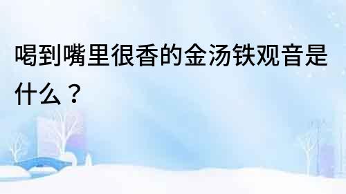 喝到嘴里很香的金湯鐵觀音是什么？