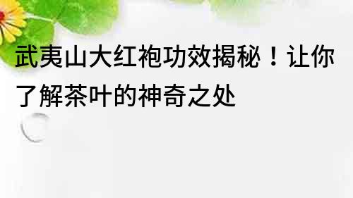 武夷山大紅袍功效揭秘！讓你了解茶葉的神奇之處