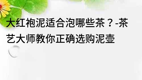 大紅袍泥適合泡哪些茶？-茶藝大師教你正確選購泥壺