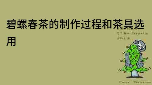 碧螺春茶的制作過程和茶具選用