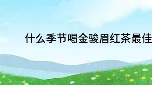 什么季節(jié)喝金駿眉紅茶最佳？