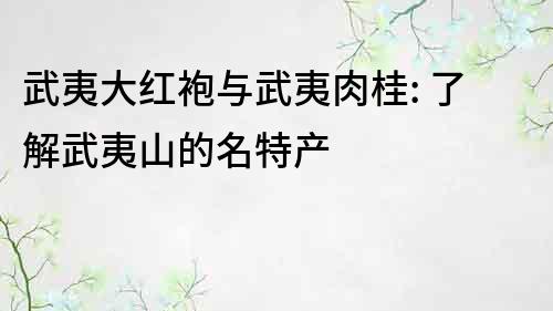 武夷大紅袍與武夷肉桂: 了解武夷山的名特產
