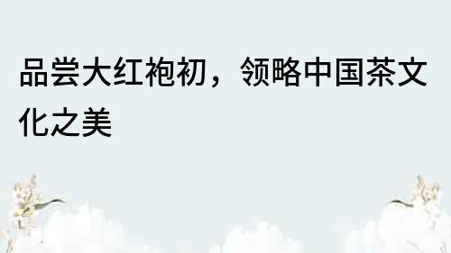 品嘗大紅袍初，領略中國茶文化之美