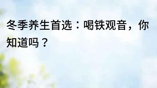 冬季養(yǎng)生首選：喝鐵觀音，你知道嗎？
