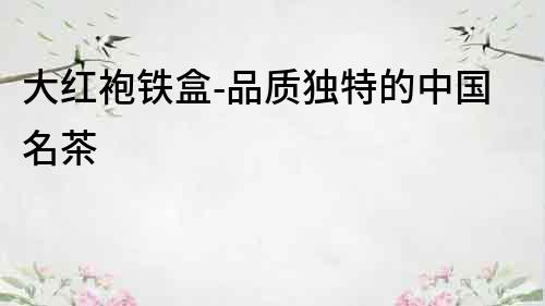 大紅袍鐵盒-品質獨特的中國名茶
