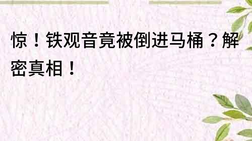 驚！鐵觀音竟被倒進馬桶？解密真相！