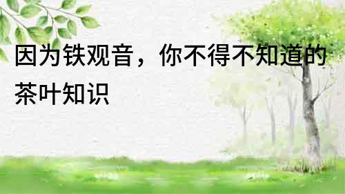 因為鐵觀音，你不得不知道的茶葉知識