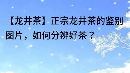 【龍井茶】正宗龍井茶的鑒別圖片，如何分辨好茶？